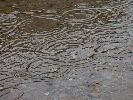 今日も雨・・・